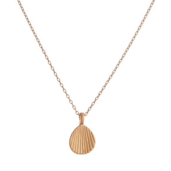 Jewelry - Dainty Brass Seashell Charm Necklace